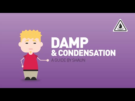 damp ph
